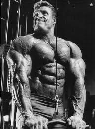 treino_triceps
