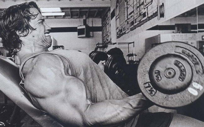 Arnold Schwarzenegger Treino