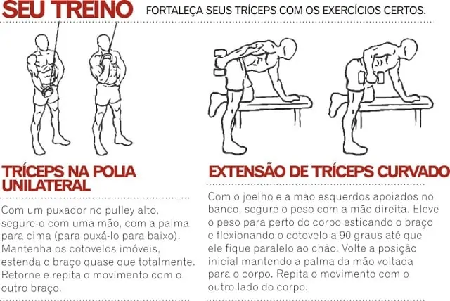 treino tríceps tríceps