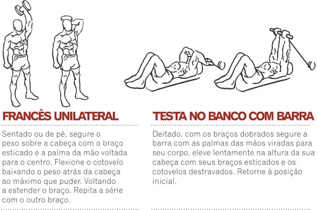 triceps_ tríceps