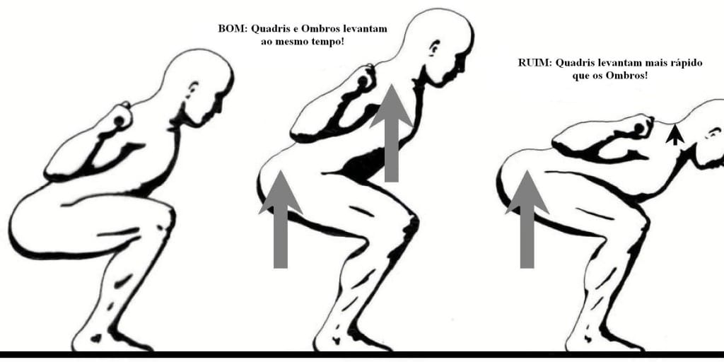 A importância do agachamento livre para ganhos musculares de outros membros