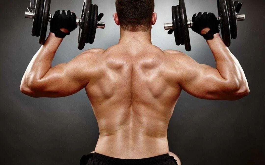 treino-de-ombros-intermediarios