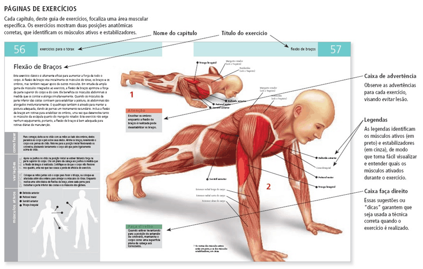 Como é o Manual de Anatomia do Exercício