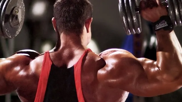 Contruindo Ombros Fortes