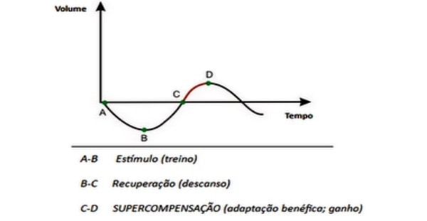 Abdominais Todos os Dias... Pode ou não pode??? Abdominais Todos os Dias... Pode ou não pode???