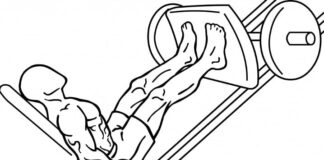 Como fazer Leg Press - posição dos pés