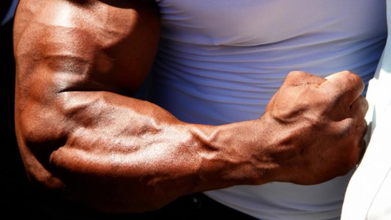 Entenda como funciona o Bíceps Braquial