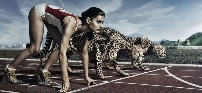 Treine para Ganhar e não Perder