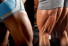 Posteriores de Coxa “de a devida atenção para elas” Posteriores de Coxa