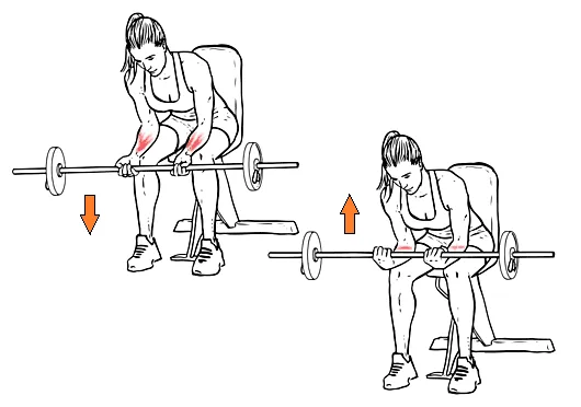 Rosca Punho Antebraço