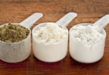 Tipos de Whey Protein e seus Benefícios Tipos de Whey Protein