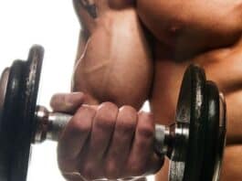 treino bíceps