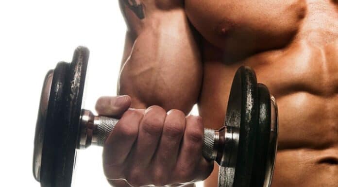 treino bíceps