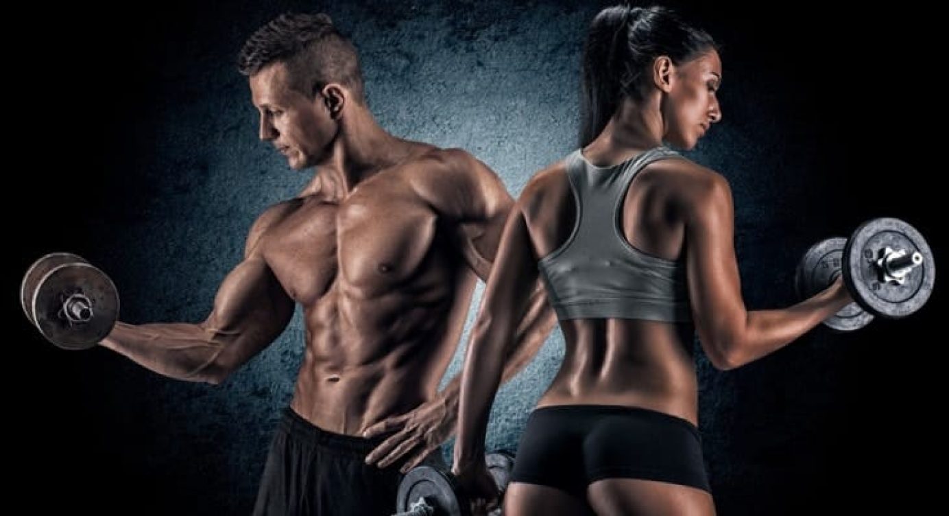 A influência dos Hormônios Masculinos e Femininos no ganho de Massa Magra e Massa Gorda