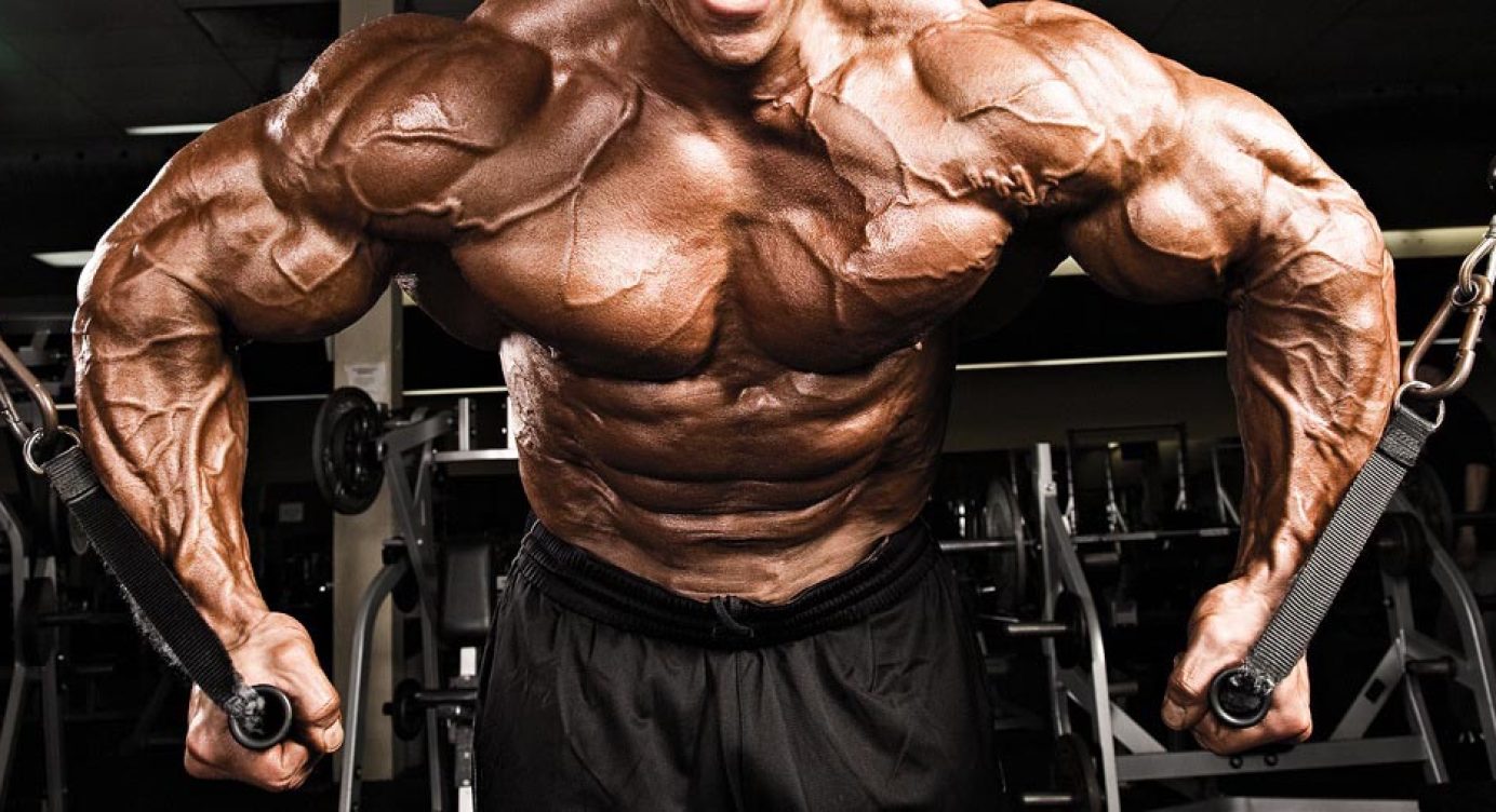 Construindo Peitoral de Aço