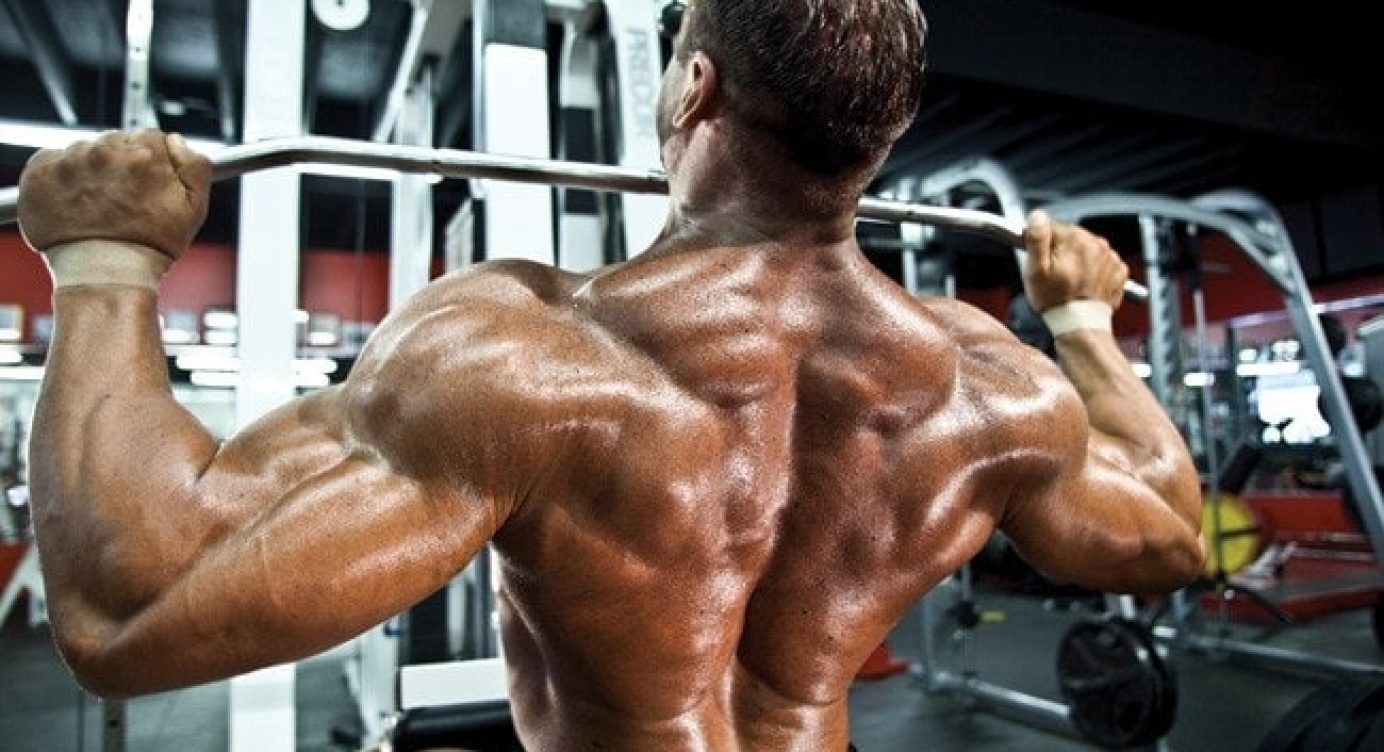 Construindo Costas de Aço