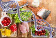 Você já ouviu falar em Nutrigenética a Dieta do DNA? Nutrigenética a dieta do DNA