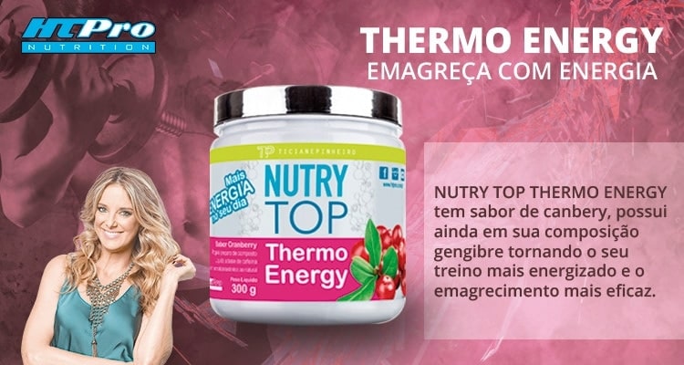 Thermo Energy HTPro