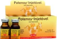 Potenay injetvel mefentermina