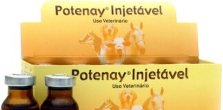 Potenay injetvel mefentermina