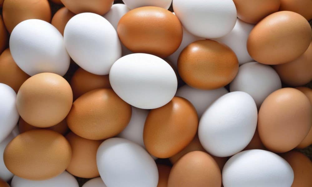Ovos Caipira e ovos de Granja