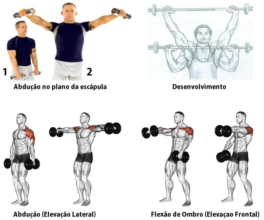 melhores exercicios para o treino de ombros