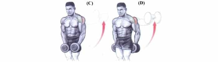 LEVANTAMENTO LATERAL COM HALTERES FIXOS