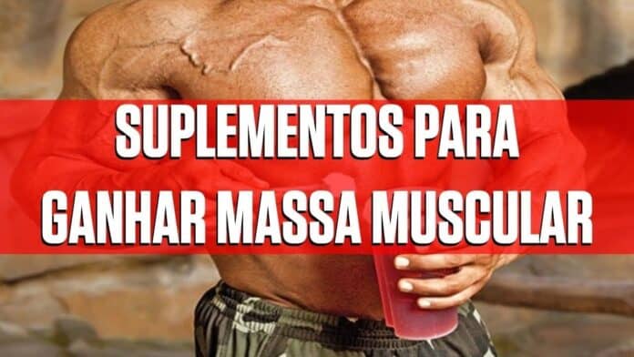 suplementos para Ganhar Massa Muscular