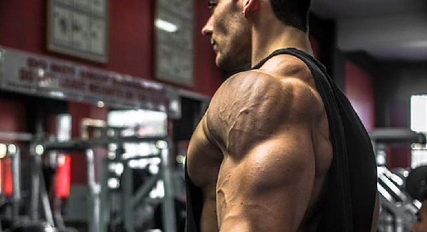 Conheça o exercício Abdução no Plano da Escápula para Treino de Ombros