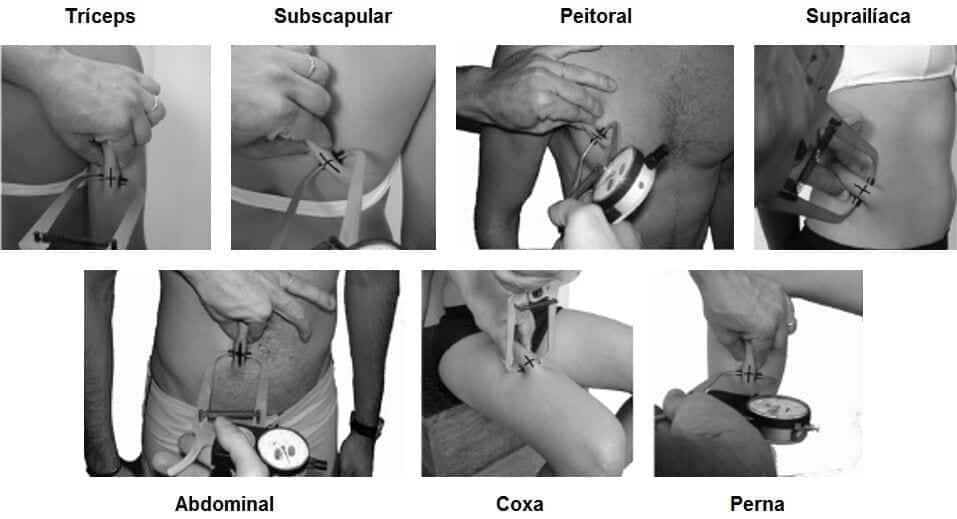 Calculadora de Percentual de gordura - Tay Traning