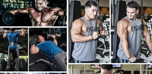 Guia completo para Treino ABCD (para avançados) Treino ABCD para Hipertrofia