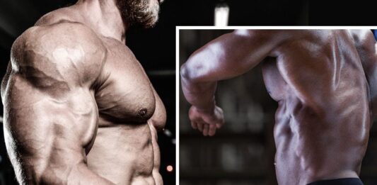 Treino para Costas e Bíceps (para avançados) Homem musculoso treinando costas e bíceps com foco em definição muscular.