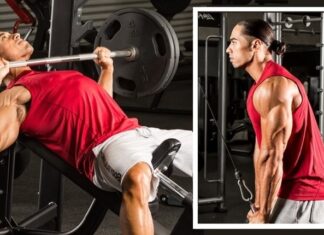 Treino de Peito e Triceps com Treino ABC