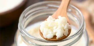 Benefícios do Kefir de Leite