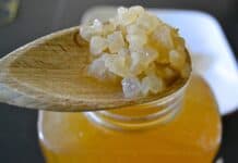 Benefícios do Kefir de Água, como fazer e usar para Emagrecer