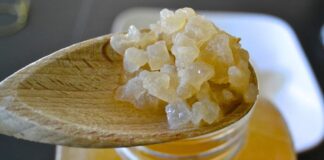 Benefícios do Kefir de Água, como fazer e usar para Emagrecer