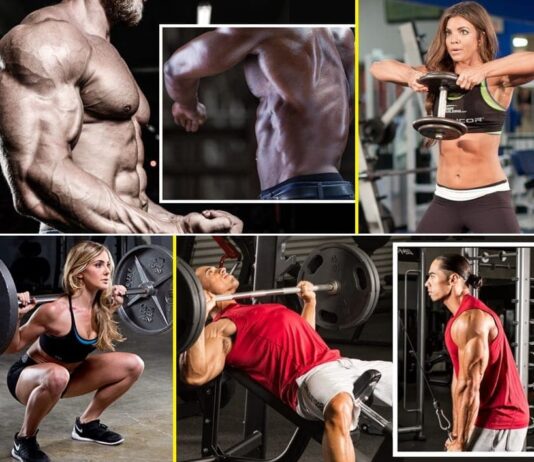 Guia completo para Treino ABC (para avançados) Rotina de Treino ABC