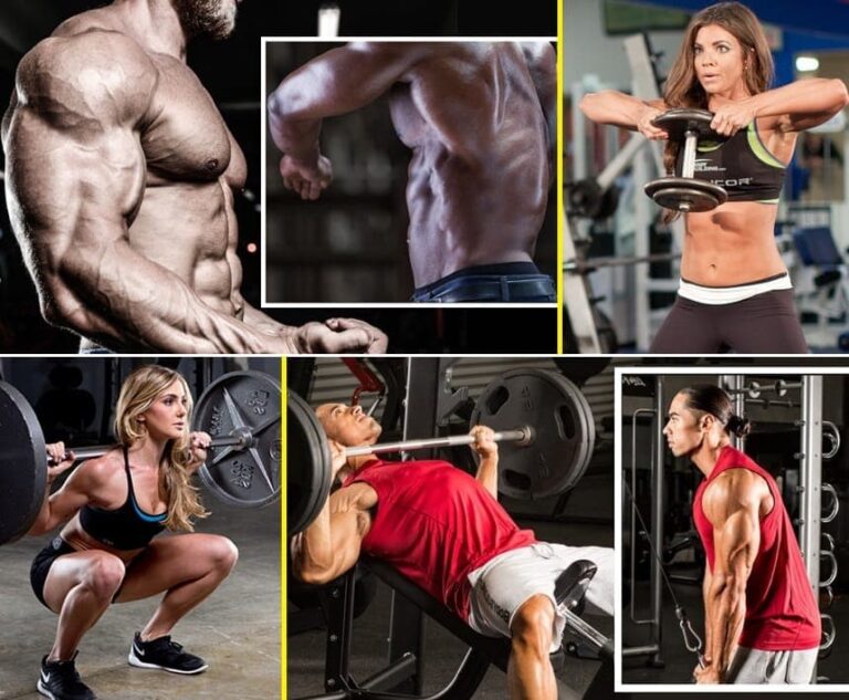 Treino ABC - Guia completo para Treino ABC (Para Avançados)