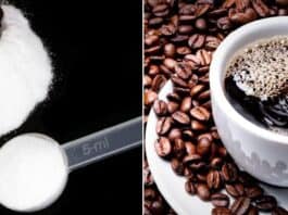 Café corta o efeito da creatina Mito ou verdade