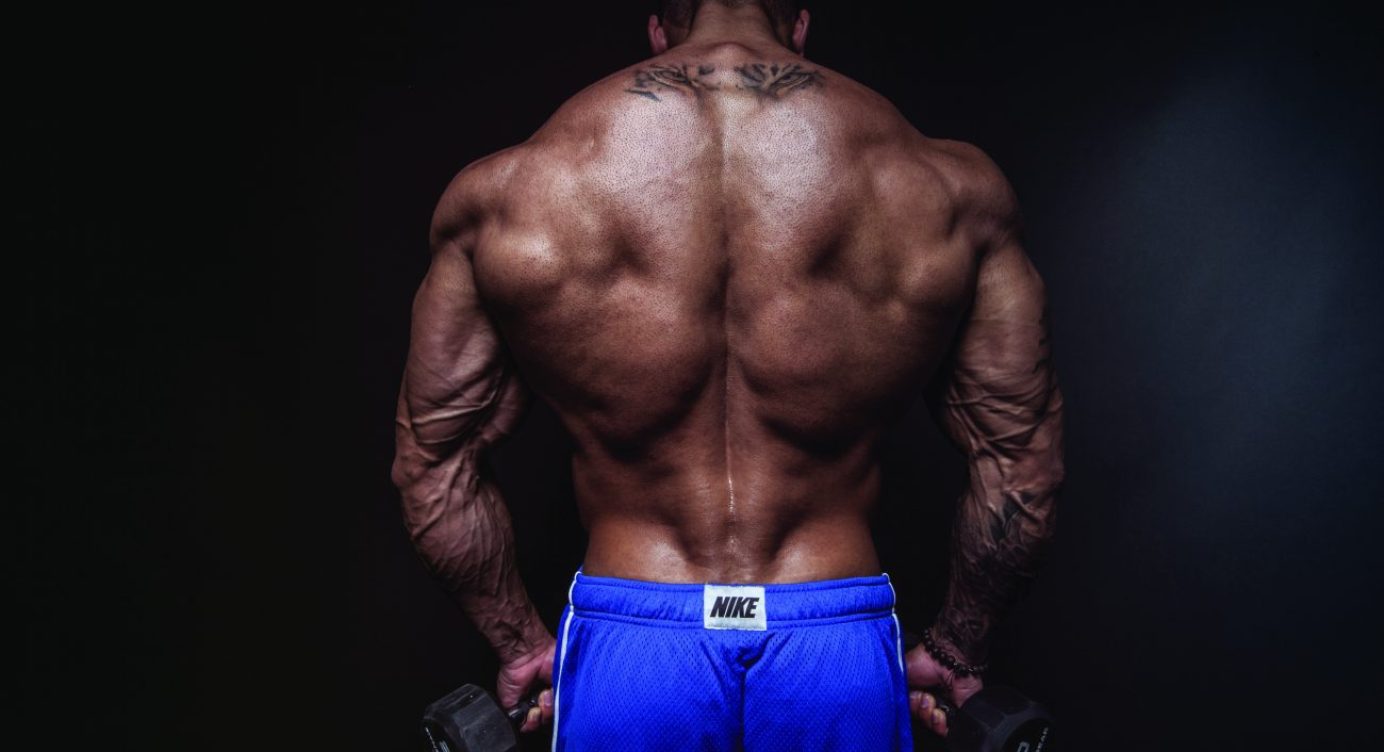 Entenda como a Memória Muscular pode ajudar quem está a um certo tempo sem Treinar!