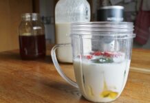 Receitas com Kefir Low Carb (3 receitas para complementar sua Dieta) Receitas com Kefir Low Carb