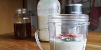Receitas com Kefir Low Carb