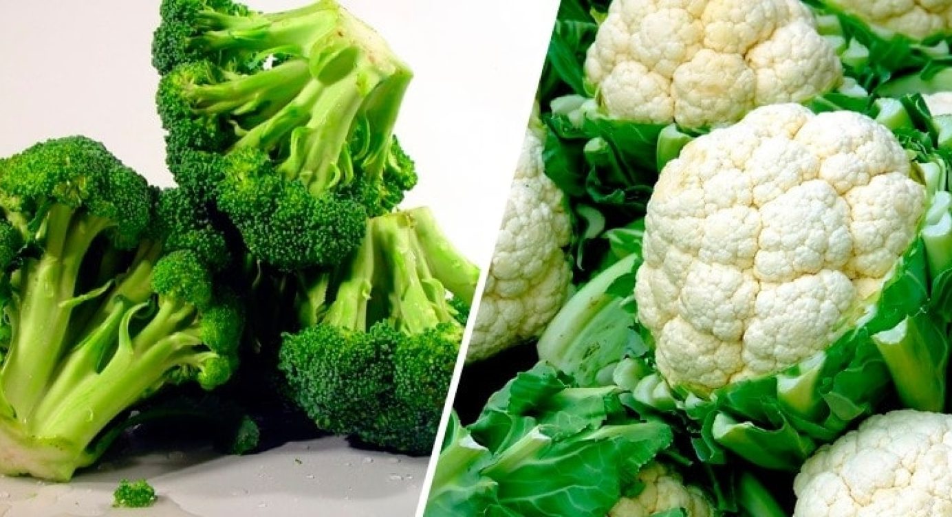 O que é a Vitamina K, para que serve, função, carência, excesso, alimentos, suplementos