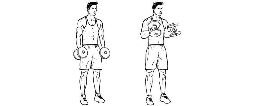 Exercícios para antebraços Rosca Martelo