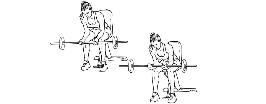 Exercícios para antebraços Rosca de Punho