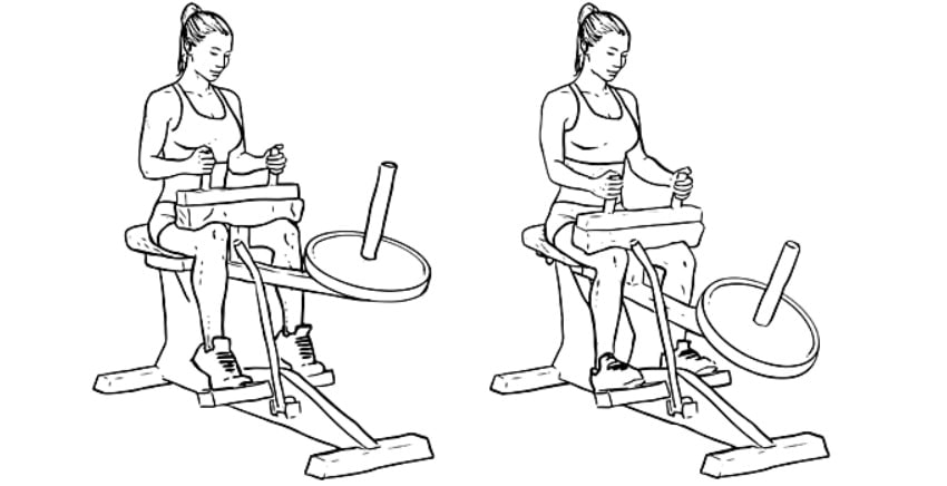 Exercícios para panturrilhas Elevação de panturrilha sentado