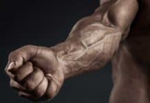 Treino para Antebraços Exercícios para Antebraços