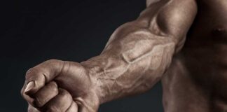 Treino para Antebraços Exercícios para Antebraços