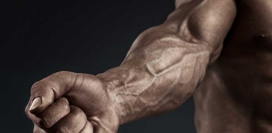 7 Exercícios para Antebraços (Sequência completa para Hipertrofia) Treino para Antebraços Exercícios para Antebraços