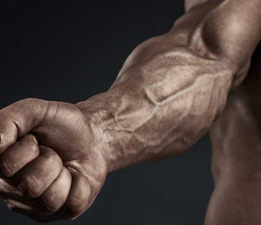 7 Exercícios para Antebraços (Sequência completa para Hipertrofia) Treino para Antebraços Exercícios para Antebraços